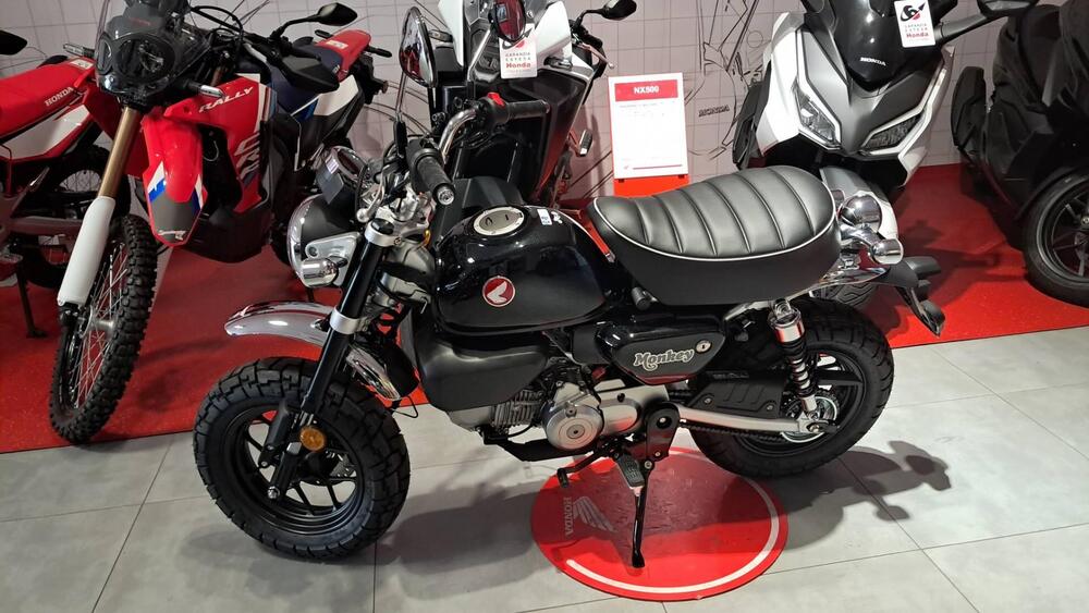 Honda Monkey 125 (2025) (2)