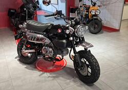 Honda Monkey 125 (2025) nuova