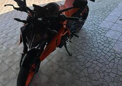 KTM 390 Duke (2024 - 26) usata