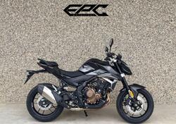 Voge Brivido 625R (2025) nuova