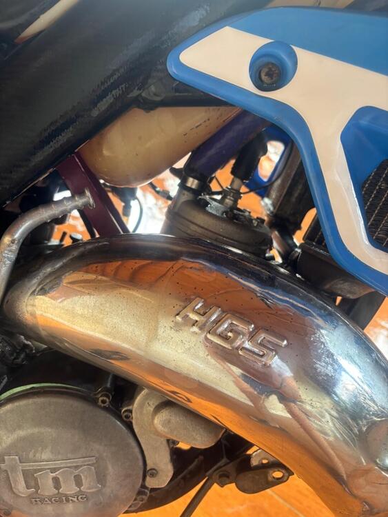 Tm Moto EN 125 (2008 - 09) (2)