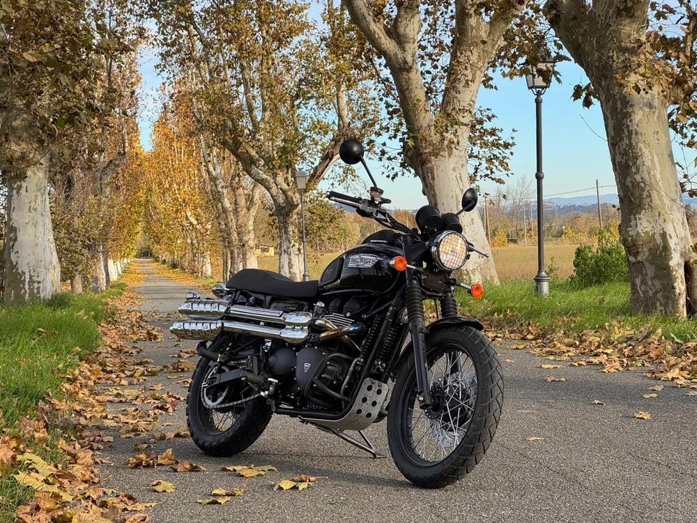 Triumph Scrambler (2006 - 17)