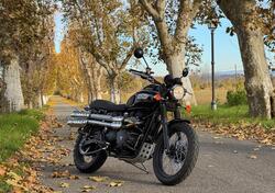 Triumph Scrambler (2006 - 17) usata