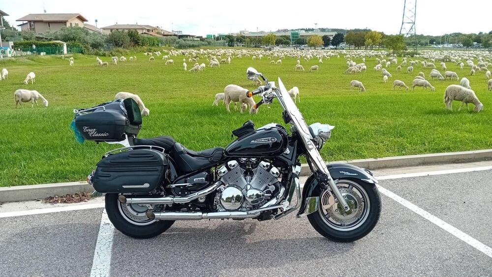 Yamaha XVZ 1300 Royal Star T.C. (1997 - 02) (2)