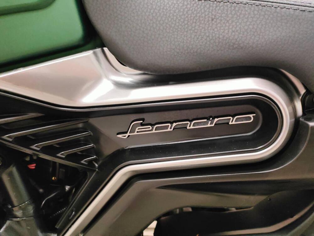 Benelli Leoncino 800 (2022 - 25) (5)