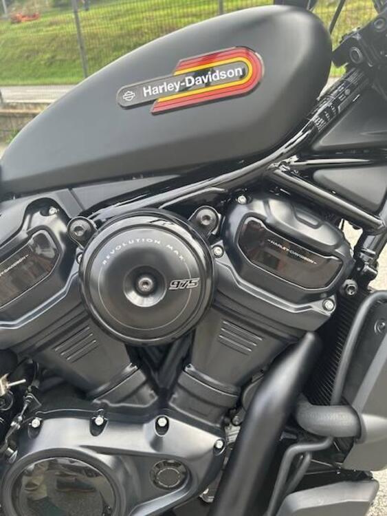 Harley-Davidson Nightster Special (2023 - 25) (3)
