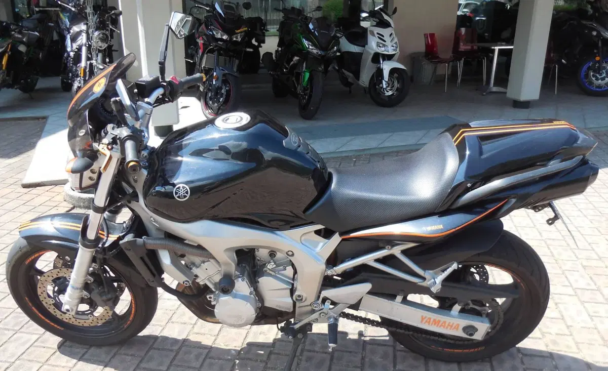 Yamaha FZ6 (2004 - 07) (2)