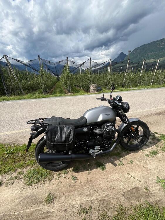 Moto Guzzi V7 Stone (2021 - 24) (3)