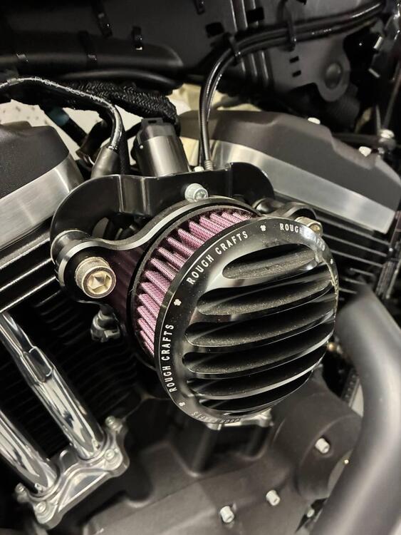 Harley-Davidson 883 Iron (2017 - 20) - XL 883N (4)