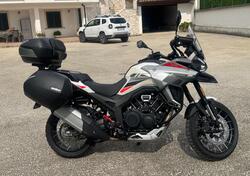 Morbidelli T1002VX (2024 - 25) usata