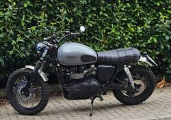 Triumph Scrambler (2006 - 17) usata