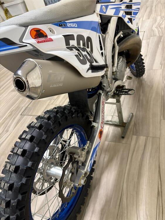 Tm Moto MX 300 ES 2T (2024) (4)