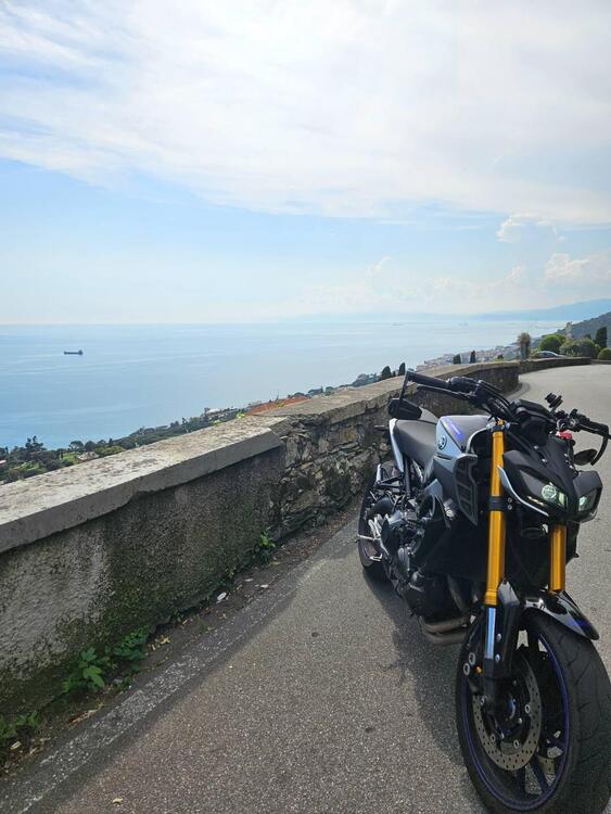 Yamaha MT-09 SP (2018 - 20) (2)