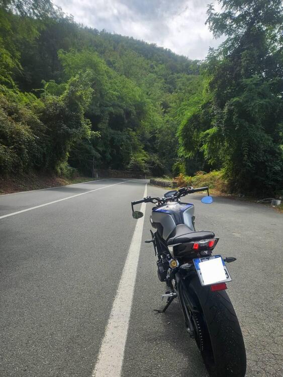 Yamaha MT-09 SP (2018 - 20) (3)