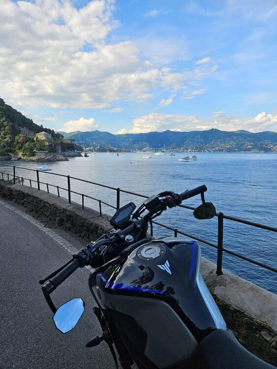 Yamaha MT-09 SP (2018 - 20) (4)