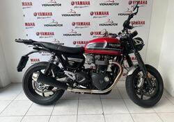 Triumph Speed Twin 1200 (2019 - 20) usata