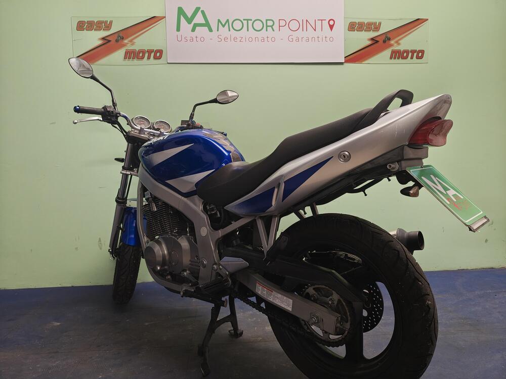 Suzuki GS 500 (2001 - 06) (3)
