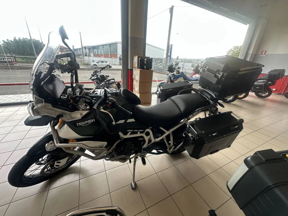 Triumph Tiger 900 Rally Pro (2020 - 23) (3)