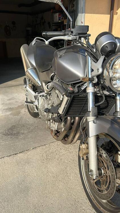 Honda Hornet 600 (2005 - 06) (3)