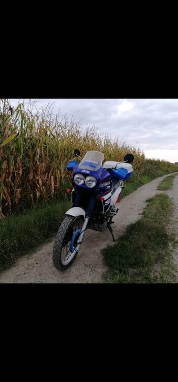 Yamaha XTZ 750 SuperTenere ASI Conservata