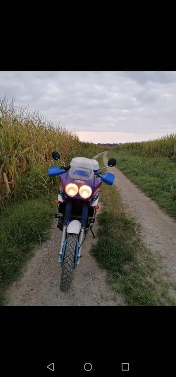 Yamaha XTZ 750 SuperTenere ASI Conservata (3)