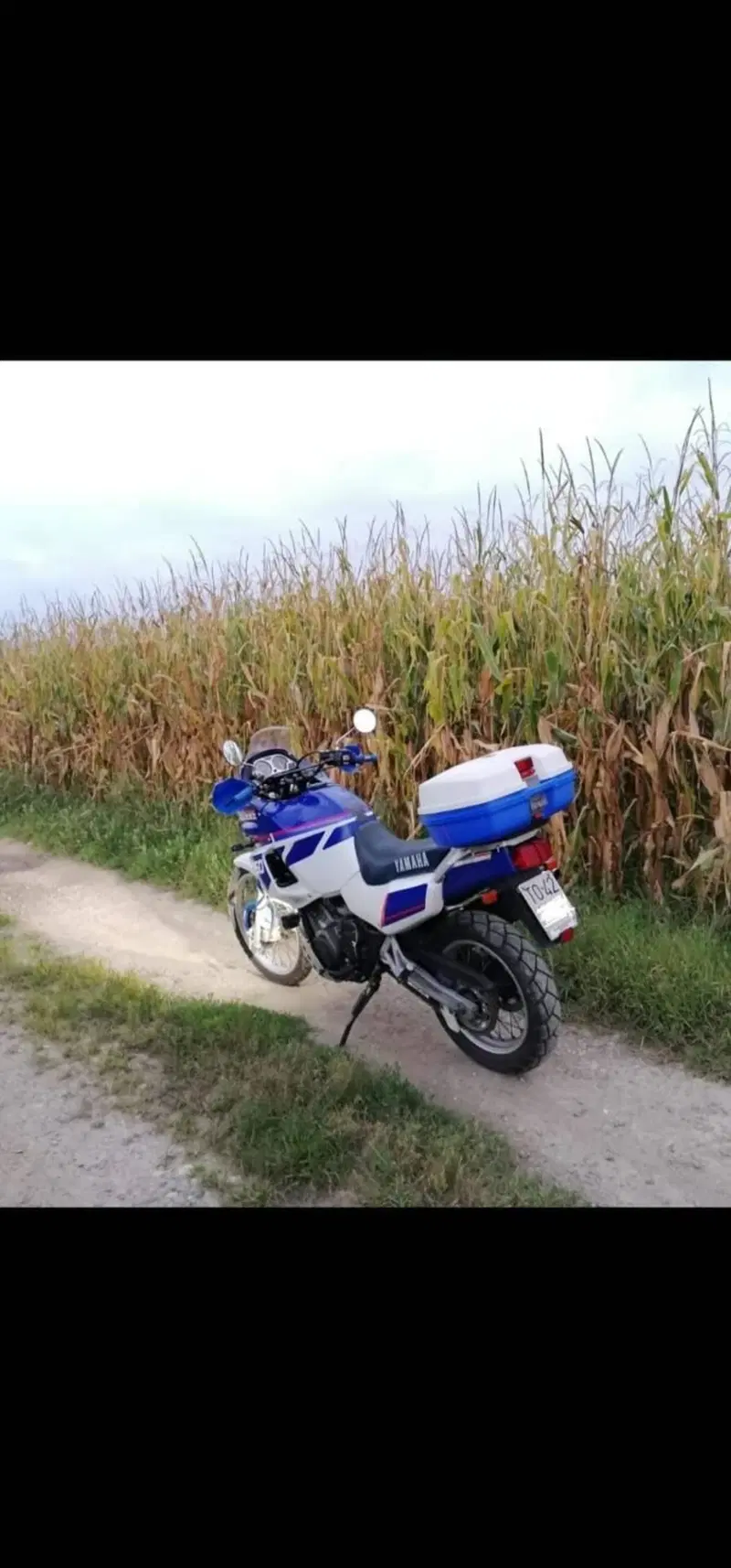 Yamaha XTZ 750 SuperTenere ASI Conservata (6)