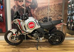 Ducati DesertX (2022 - 25) usata