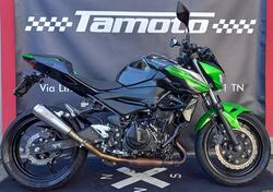 Kawasaki Z 400 (2019 - 20) usata