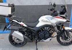 Morbidelli T1002VX (2024 - 25) usata