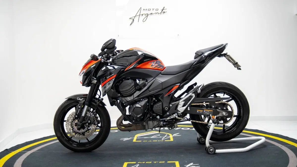 Kawasaki Z 800 e ABS (2012 - 16) (7)