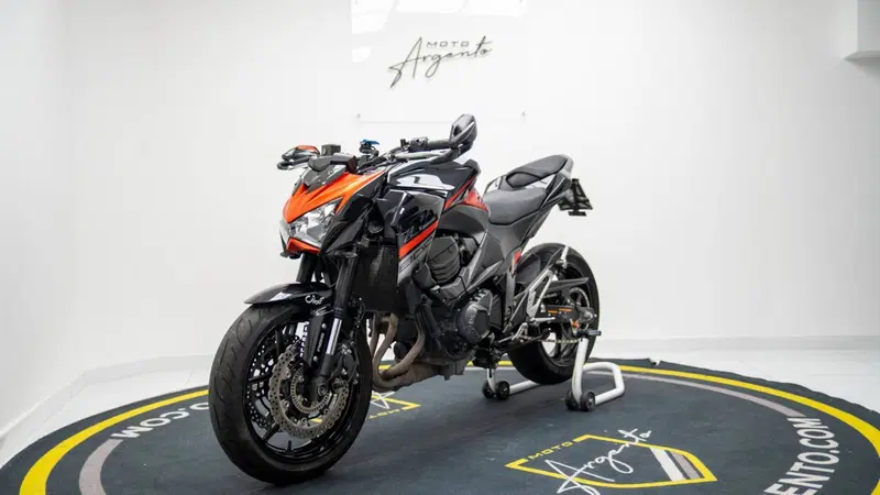 Kawasaki Z 800 e ABS (2012 - 16) (8)