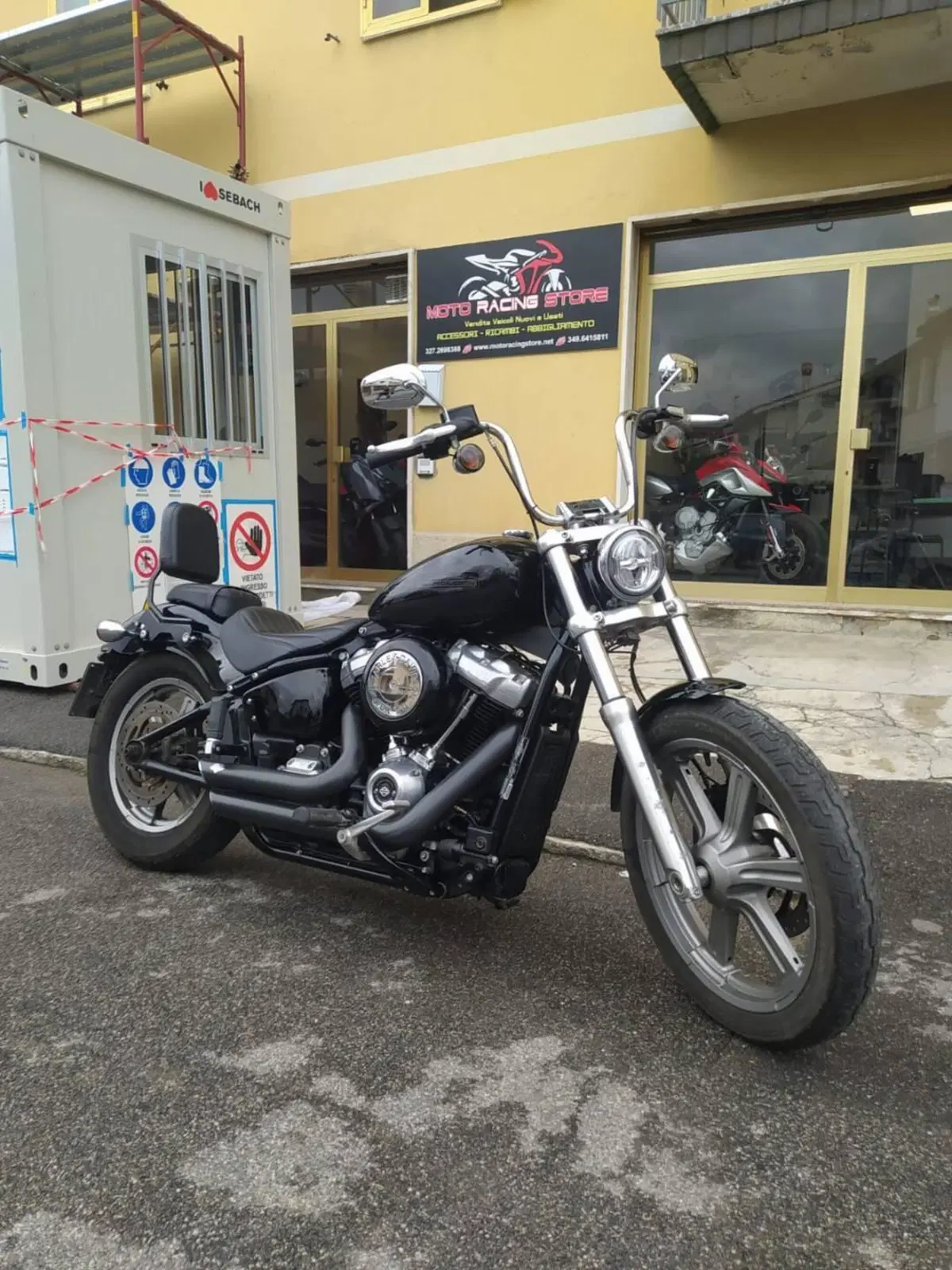 Harley-Davidson Softail Standard (2021 - 25) (2)