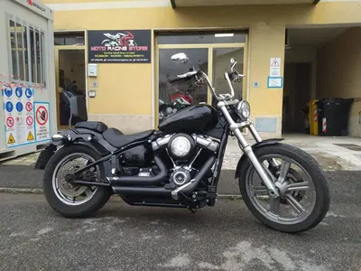 Harley-Davidson Softail Standard (2021 - 25) usata