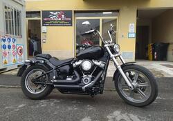 Harley-Davidson Softail Standard (2021 - 25) usata
