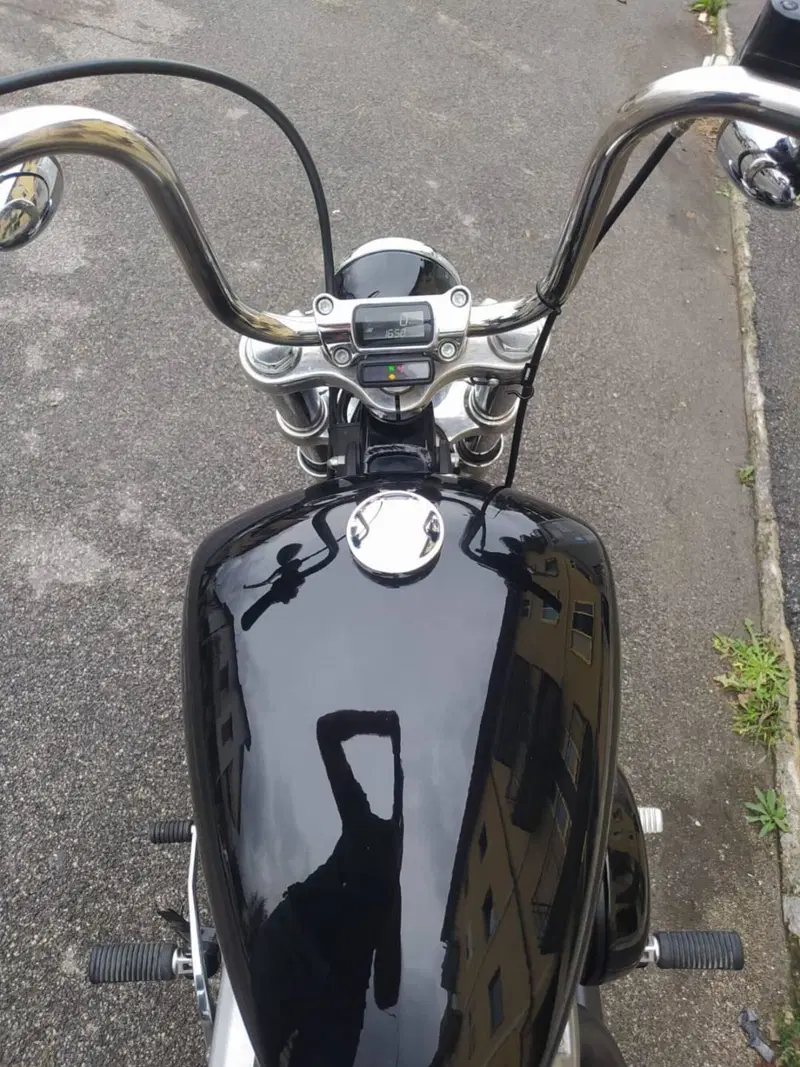 Harley-Davidson Softail Standard (2021 - 25) (8)