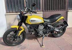Ducati Scrambler 800 Icon (2017 - 20) usata