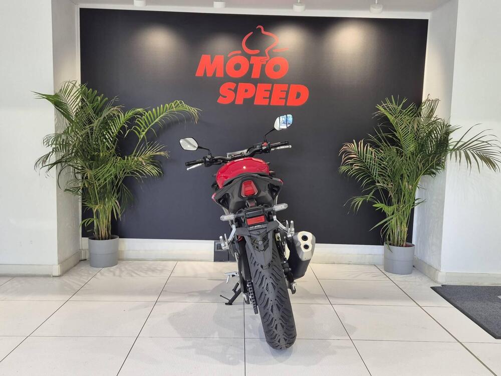 Honda CB 500 Hornet (2024 - 25) (3)