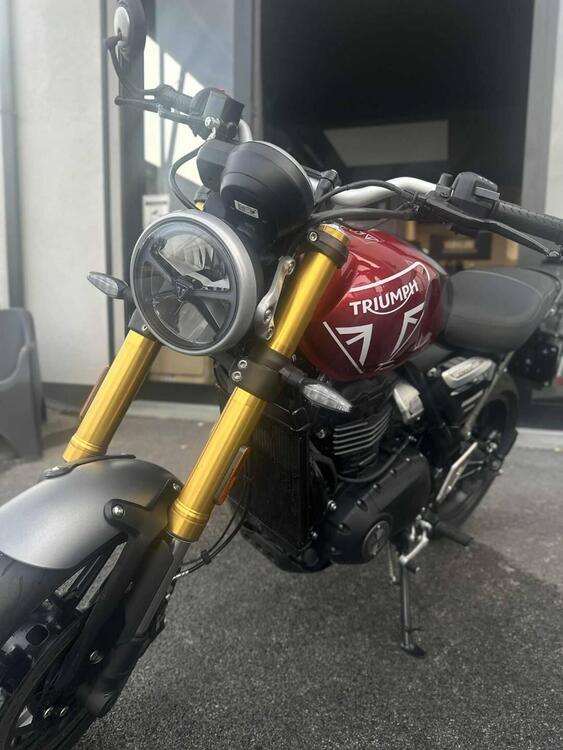 Triumph Speed 400 (2024 - 25)