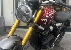 Triumph Speed 400 (2024 - 25) usata