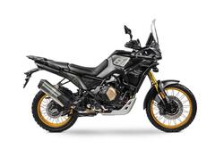 Voge Valico 800DSX Rally (2025) nuova