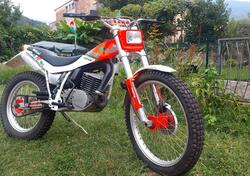 Fantic Motor Trial 300 / 307 usata