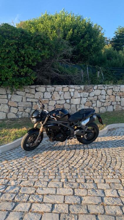 Triumph Speed Triple 1050 S (2018 - 20) (4)