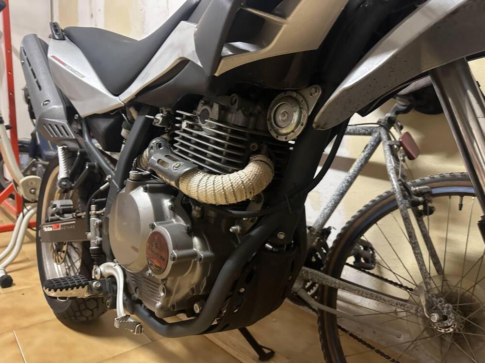 Betamotor Motard 4.0 M4 (2006 - 11) (5)