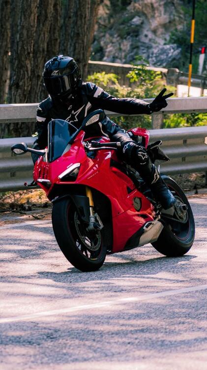 Ducati Panigale V4 S 1100 (2018 - 19)