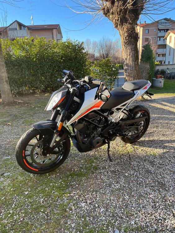 KTM 390 Duke (2021 - 23) (2)
