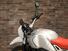 Bmw R nineT Urban GS 1200 (2017 - 20) (11)