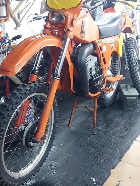 Swm 250cc TF1  (3)