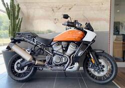 Harley-Davidson Pan America 1250 Special (2020 - 25) usata