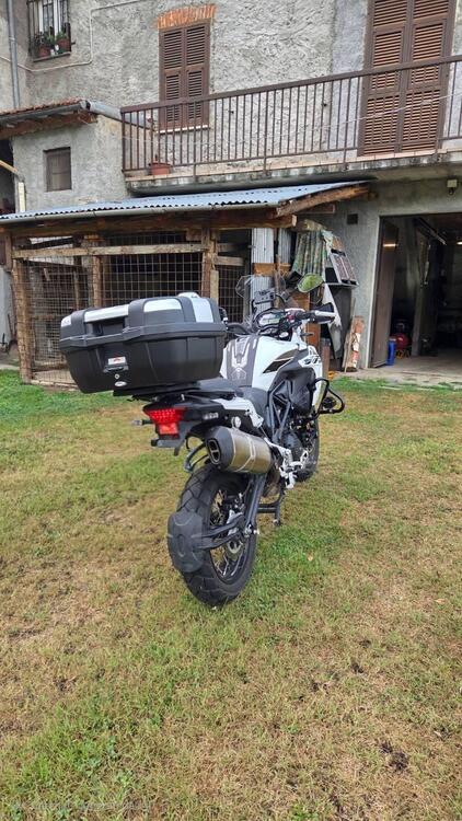 Benelli TRK 502X (2021 - 25) (4)