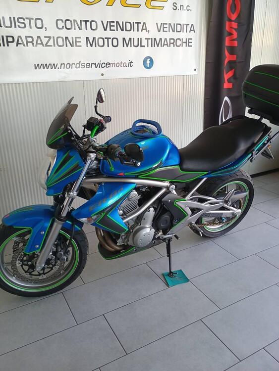Kawasaki ER-6N (2006 - 09) (2)